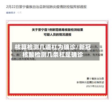 核算检测几道杠为确诊/新冠核酸检测几条杠是确诊-第2张图片