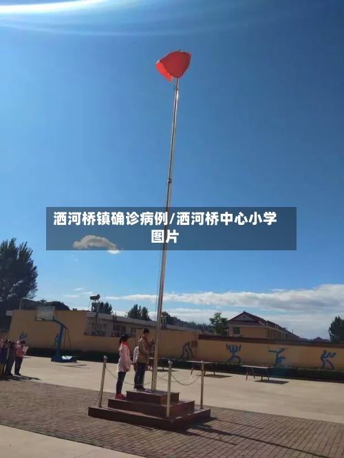 洒河桥镇确诊病例/洒河桥中心小学图片-第3张图片