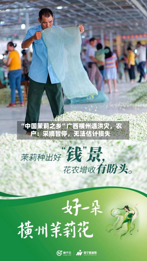 “中国茉莉之乡	”广西横州遇洪灾	，农户：采摘暂停，无法估计损失-第3张图片