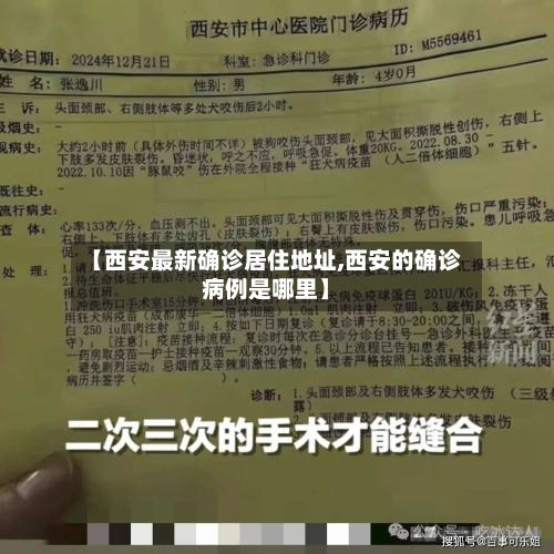 【西安最新确诊居住地址,西安的确诊病例是哪里】-第2张图片