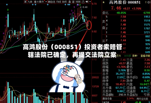 高鸿股份（000851）投资者索赔管辖法院已确定，再提交法院立案-第2张图片